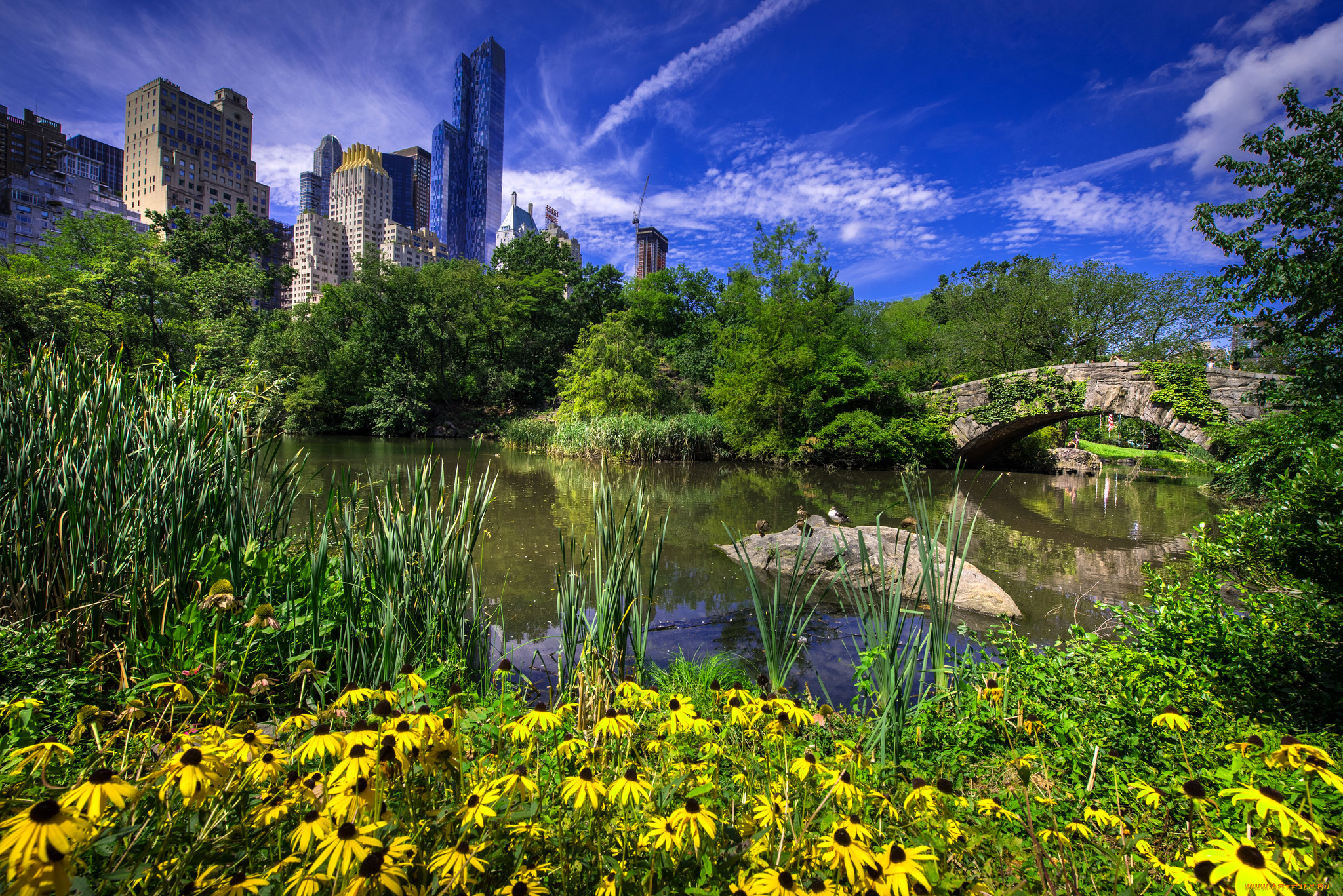 gapstow bridge in central park - new york city, , - , , 